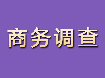 鄢陵商务调查