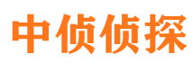 鄢陵寻人公司